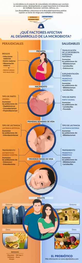 Infografia microbitota ElProbiotico