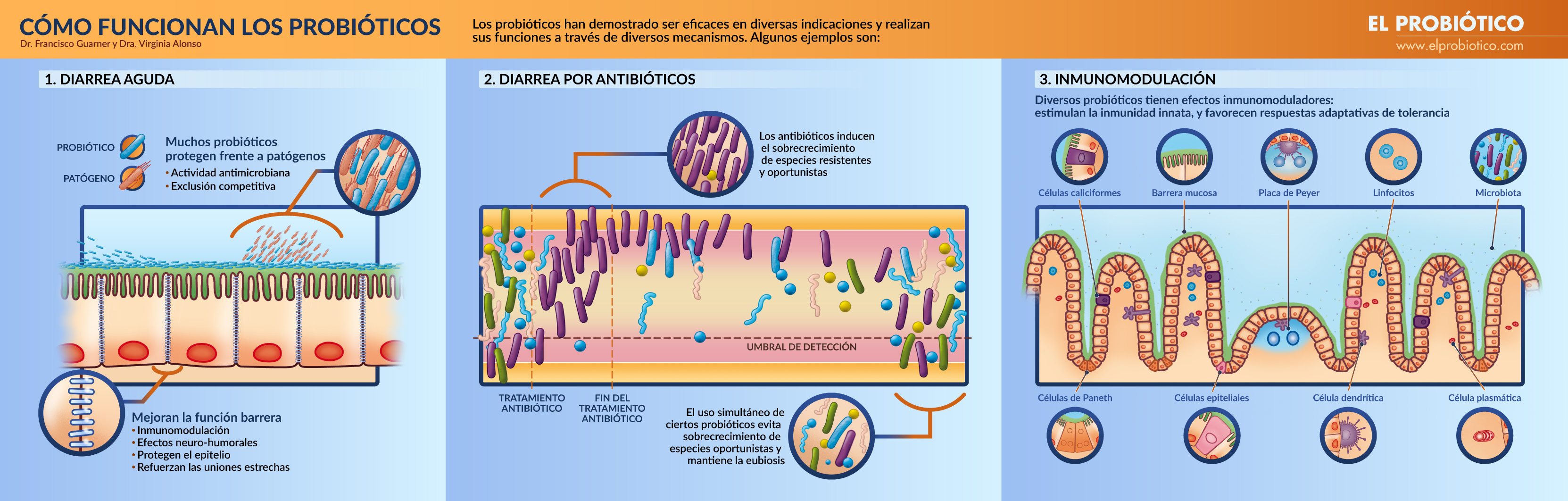 Antibioticos probioticos