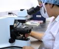 laboratorio