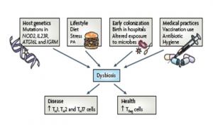 Figura 1. Causas de disbiosis microbiana
