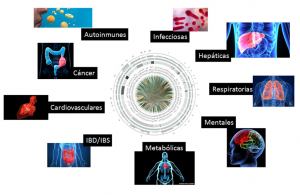 Figura 2. Las disbiosis bacterianas se han relacionado al menos con 105 enfermedades