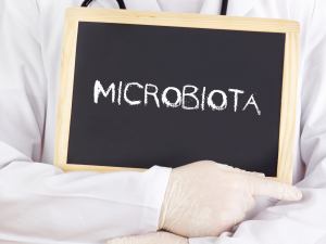 microbiota