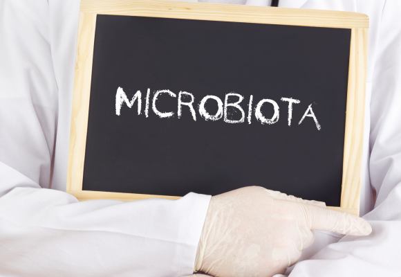 microbiota