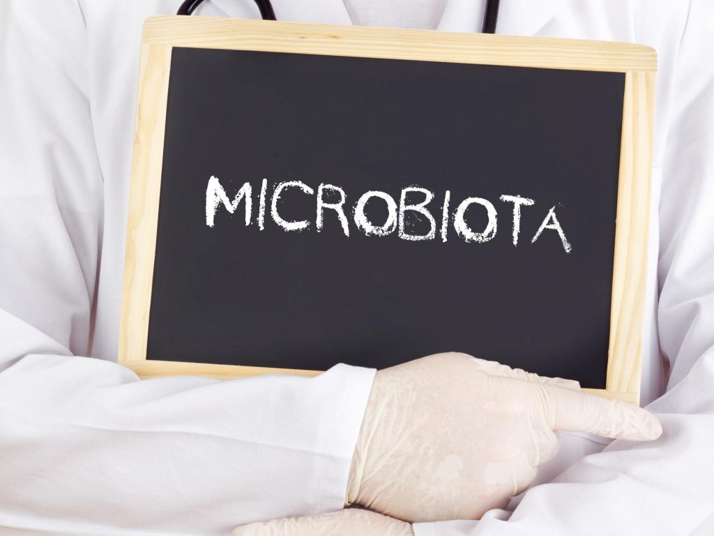 27 de junio: Día Mundial de Microbiota Intestinal | El Probiótico